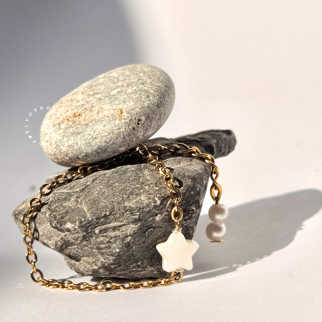 Welcome to Elvo